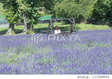 【ラベンダー畑 女性とぶらんこ】 【ラベンダー畑 女性とぶらんこ】 117160054