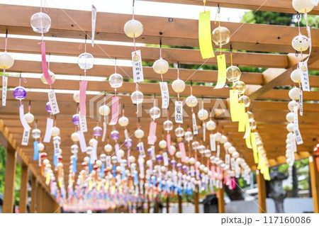 夏の竹駒神社　参道の風鈴　夏詣　宮城県岩沼市 117160086