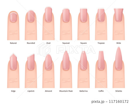 Fingernail shapes. Feminine Nail Shape Types finger nails manicure Natural oval square lipstick Ballerina fingernails Trendy visual Style infographic swanky Vector Illustration Fingernail shapes. Feminine Nail Shape Types finger nails manicure Natural oval square lipstick Ballerina fingernails Trendy visual Style infographic swanky Vector Illustration 117160172