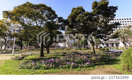 山下公園から見た山下埠頭 117161049