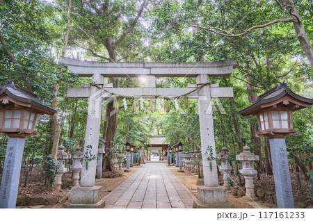 千葉 駒木諏訪神社(流山市) 千葉 駒木諏訪神社(流山市) 117161233