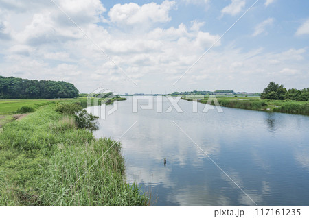 茨城 牛久沼 茨城 牛久沼 117161235