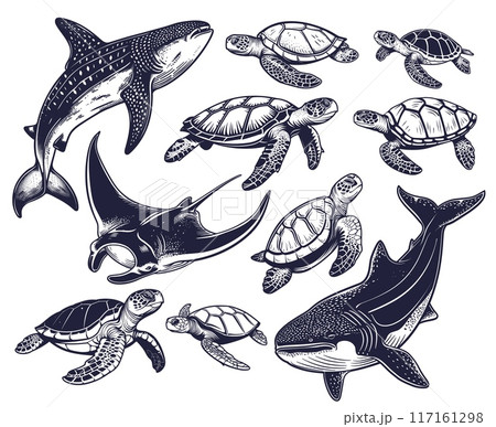 Sea animals. Whale shark giant ray turtle sea marine ocean drawing engraving ink line art, vector illustration 117161298