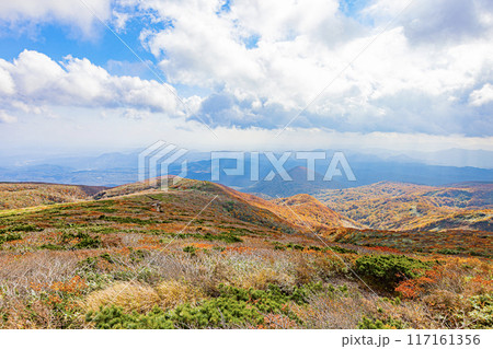 栗駒山　秋の絶景風景 117161356
