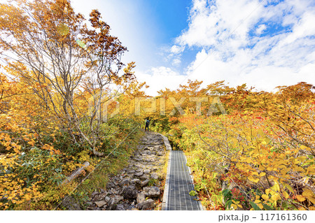 栗駒山 秋の絶景風景 栗駒山 秋の絶景風景 117161360