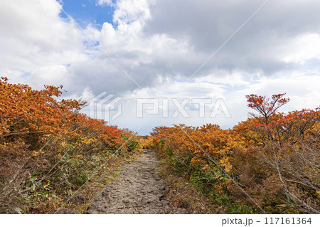 栗駒山 秋の絶景風景 栗駒山 秋の絶景風景 117161364
