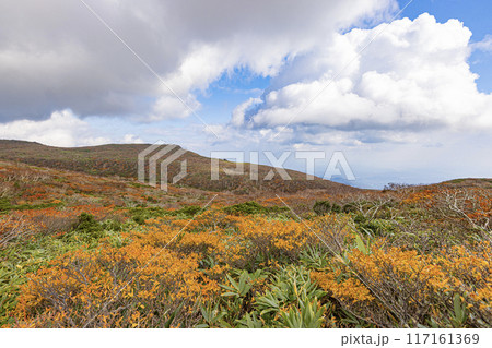 栗駒山　秋の絶景風景 117161369