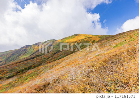 栗駒山 秋の絶景風景 栗駒山 秋の絶景風景 117161373
