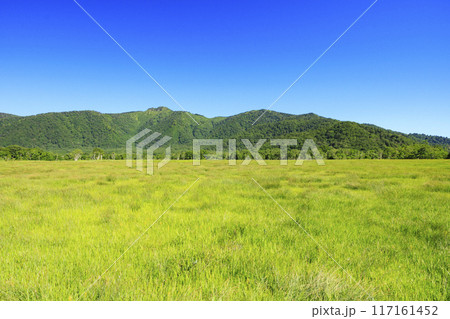 夏の尾瀬 尾瀬ヶ原 夏の尾瀬 尾瀬ヶ原 117161452