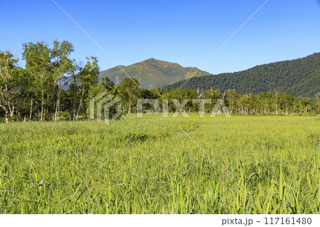 夏の尾瀬　尾瀬ヶ原 117161480