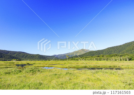 夏の尾瀬 尾瀬ヶ原 夏の尾瀬 尾瀬ヶ原 117161503