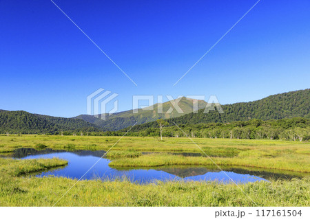 夏の尾瀬 尾瀬ヶ原 夏の尾瀬 尾瀬ヶ原 117161504
