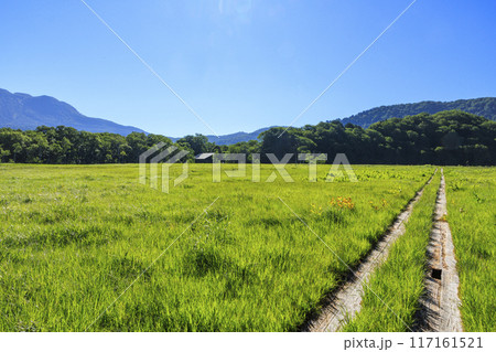 夏の尾瀬 尾瀬ヶ原 夏の尾瀬 尾瀬ヶ原 117161521