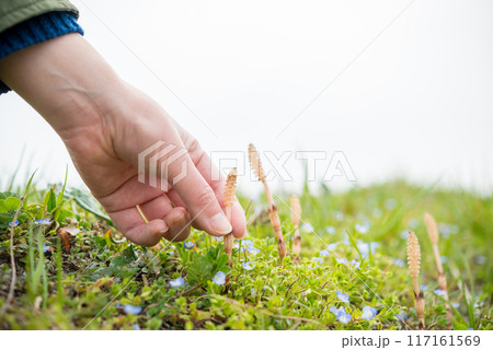 春の風景 春の風景 117161569