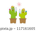 サボテンの暑さ対策 117161605