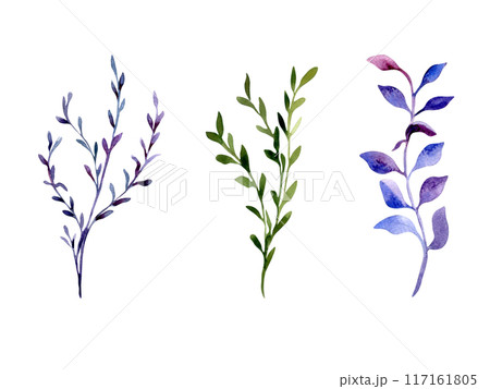 Branches leaves watercolor set plants blue purple and green colors isolated illustration. Abstract colorful twigs and leaf hand drawn. Floral elements set for design card, textile, wrapping. 117161805