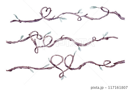 Tree branches heart shaped watercolor illustration isolated. Intertwined branches with delicate green leaves, forming artistic shapes and patterns hand drawn. Elements for natural designs, Valentine. 117161807