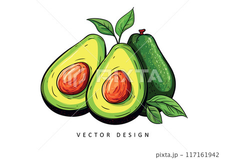tasty avocado vector design isolated illustration 117161942
