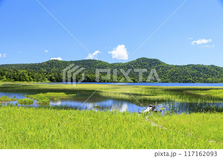 夏の尾瀬　尾瀬沼　沼尻〜尾瀬沼山荘 117162093