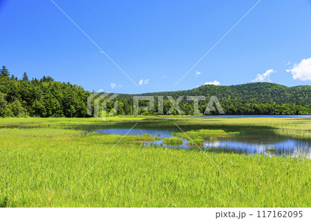夏の尾瀬　尾瀬沼　沼尻〜尾瀬沼山荘 117162095