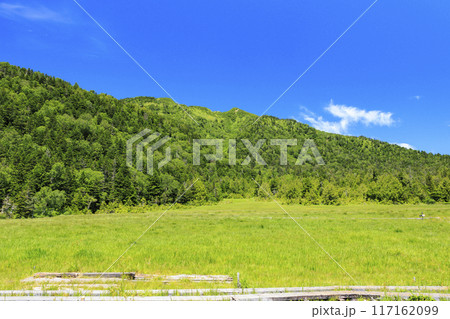 夏の尾瀬　尾瀬沼　沼尻〜尾瀬沼山荘 117162099