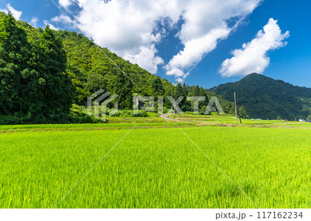 《新潟県》田舎の長閑な夏の原風景 《新潟県》田舎の長閑な夏の原風景 117162234