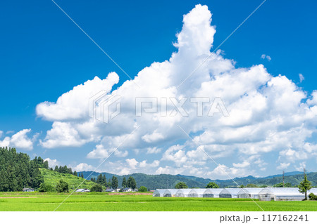 《新潟県》田舎の長閑な夏の原風景 117162241