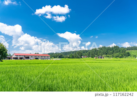 《新潟県》田舎の長閑な夏の原風景 117162242
