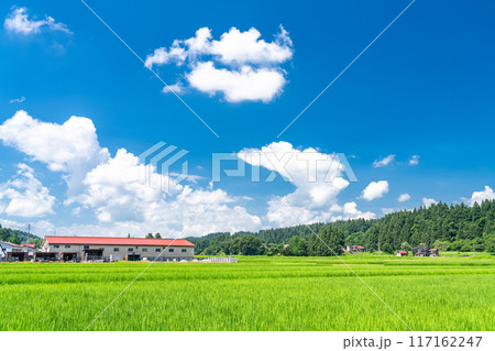 《新潟県》田舎の長閑な夏の原風景 117162247
