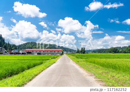 《新潟県》田舎の長閑な夏の原風景 117162252