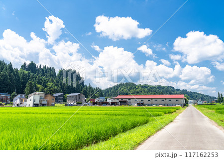《新潟県》田舎の長閑な夏の原風景 117162253