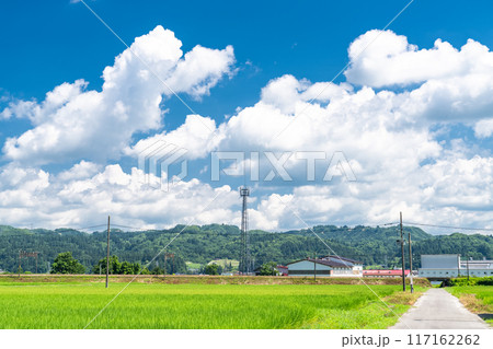 《新潟県》田舎の長閑な夏の原風景 117162262