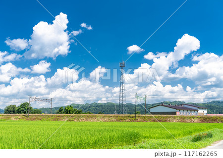 《新潟県》田舎の長閑な夏の原風景 《新潟県》田舎の長閑な夏の原風景 117162265