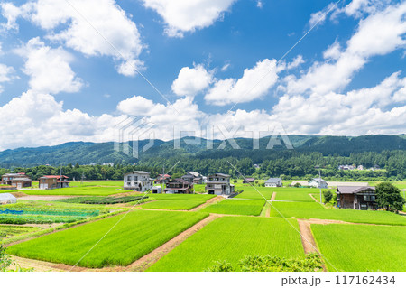 《新潟県》田舎の長閑な夏の原風景 《新潟県》田舎の長閑な夏の原風景 117162434