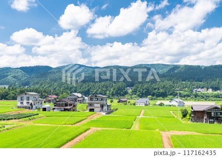 《新潟県》田舎の長閑な夏の原風景 117162435