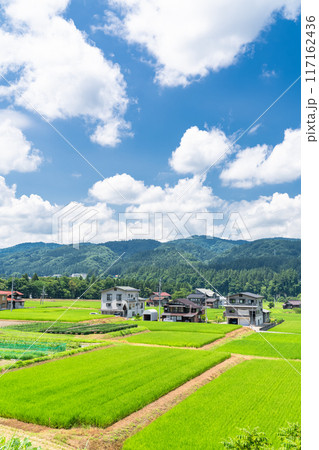 《新潟県》田舎の長閑な夏の原風景 117162436