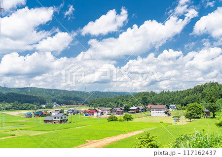 《新潟県》田舎の長閑な夏の原風景 117162437