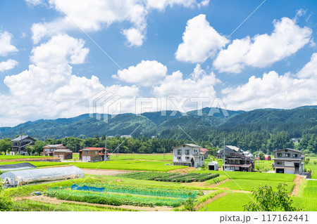 《新潟県》田舎の長閑な夏の原風景 117162441
