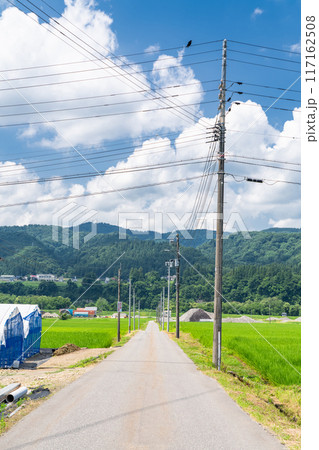 《新潟県》田舎の長閑な夏の原風景 117162508