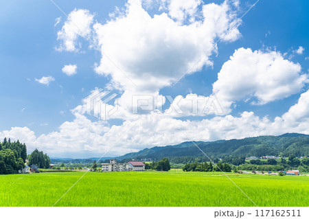 《新潟県》田舎の長閑な夏の原風景 《新潟県》田舎の長閑な夏の原風景 117162511