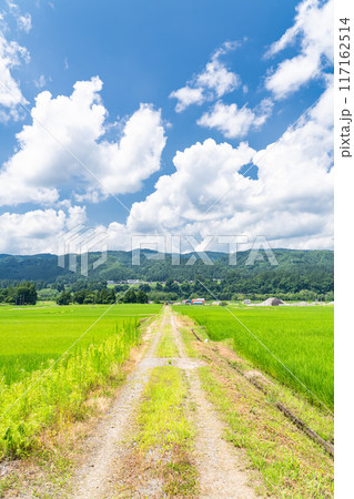 《新潟県》田舎の長閑な夏の原風景 《新潟県》田舎の長閑な夏の原風景 117162514