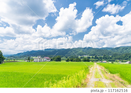《新潟県》田舎の長閑な夏の原風景 117162516