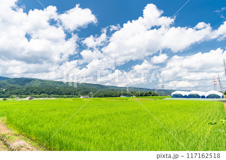 《新潟県》田舎の長閑な夏の原風景 《新潟県》田舎の長閑な夏の原風景 117162518