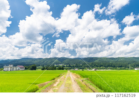 《新潟県》田舎の長閑な夏の原風景 117162519
