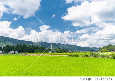 《新潟県》田舎の長閑な夏の原風景 《新潟県》田舎の長閑な夏の原風景 117162573