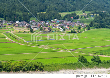 《新潟県》田舎の長閑な夏の原風景 117162585