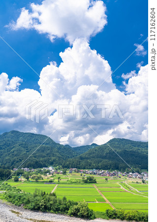 《新潟県》田舎の長閑な夏の原風景 117162604