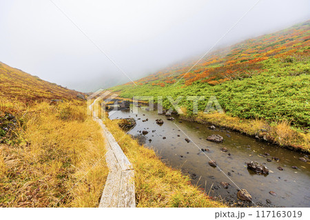 秋田県　秋田駒ヶ岳の紅葉風景 117163019