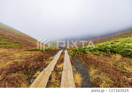 秋田県　秋田駒ヶ岳の紅葉風景 117163024