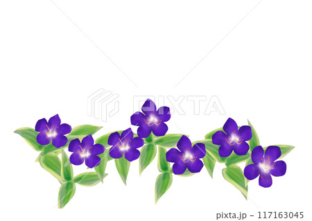 野牡丹の花のカード6 野牡丹の花のカード6 117163045